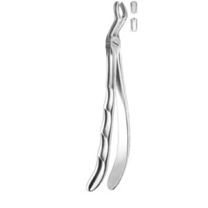 Davier troisième molaire supérieure droite - Safe Implant