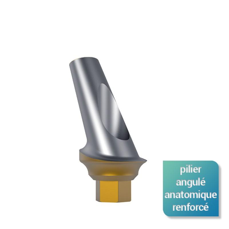 0cf7cb676a23e2a0b0a1e6534324cb3f-1 Pilier anatomique angulé 25° renforcé - Safe Implant