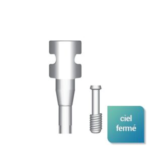 Transferts compatibles avec la marque Global D™ modèle in-Kone™ UNIVERSAL™ et PRIMO™ - Safe Implant