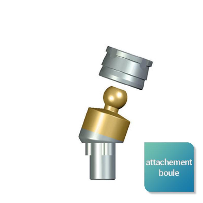 4381221646c184cc095984a155d6c221-1 Attachement boule angulé compatible NobelReplace Select™ - Safe Implant