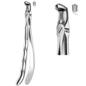 Davier troisième molaire inférieure (dent de sagesse) - Safe Implant