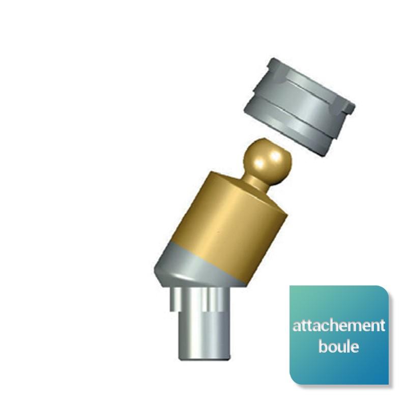 6d3755770806f78067b17d9423bcc48b-1 Attachement boule angulé compatible NobelReplace Select™ - Safe Implant