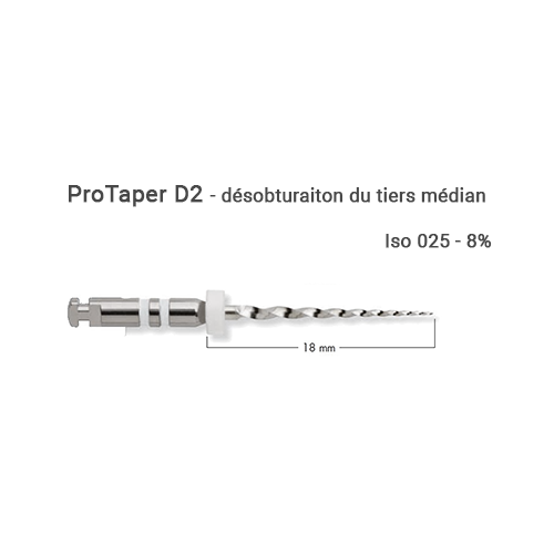 D2-1 Pack de 6 limes ProTaper Universal Retraitement de Dentsply Sirona - Safe Implant