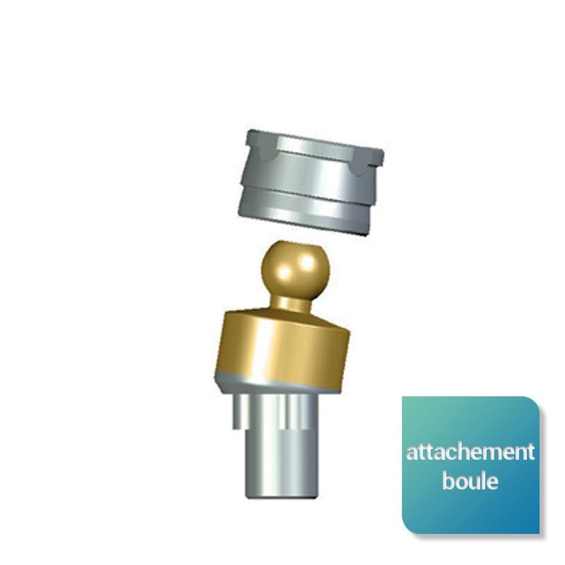 ae90333adb6a1f6d599ce39383d6b192-1 Attachement boule angulé compatible NobelReplace Select™ - Safe Implant