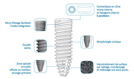 conemorse_aade83c6-8443-4f7a-8749-9bb07482f14e-1