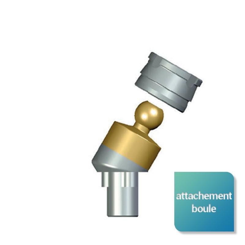 dd16aa05b8d30223484c04e1524330ef-1 Attachement boule angulé compatible NobelReplace Select™ - Safe Implant