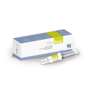 MM-Seal Ciment de scellement canalaire Micro Mega - Safe Implant