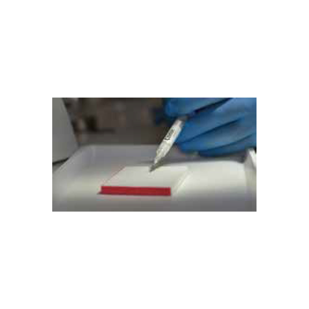 selection_0008_67530_1-1